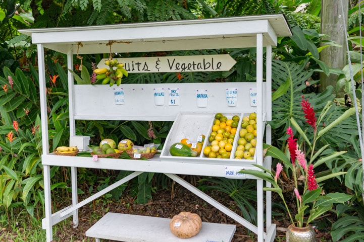 Hana Maui Fruit Stand Photo www.pineappleandococonut.com