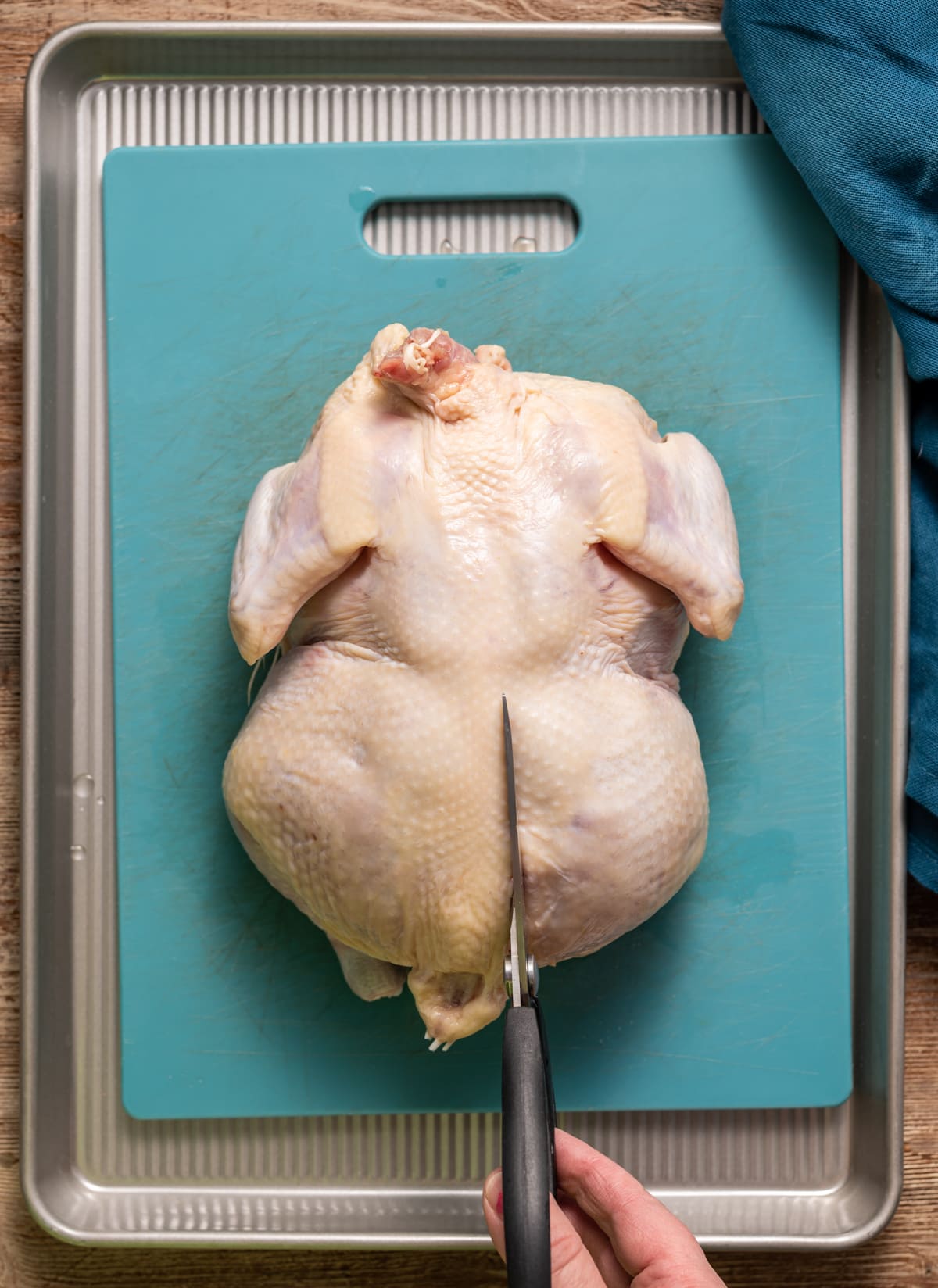 raw whole chicken getting cut down the middle to spatchcock it