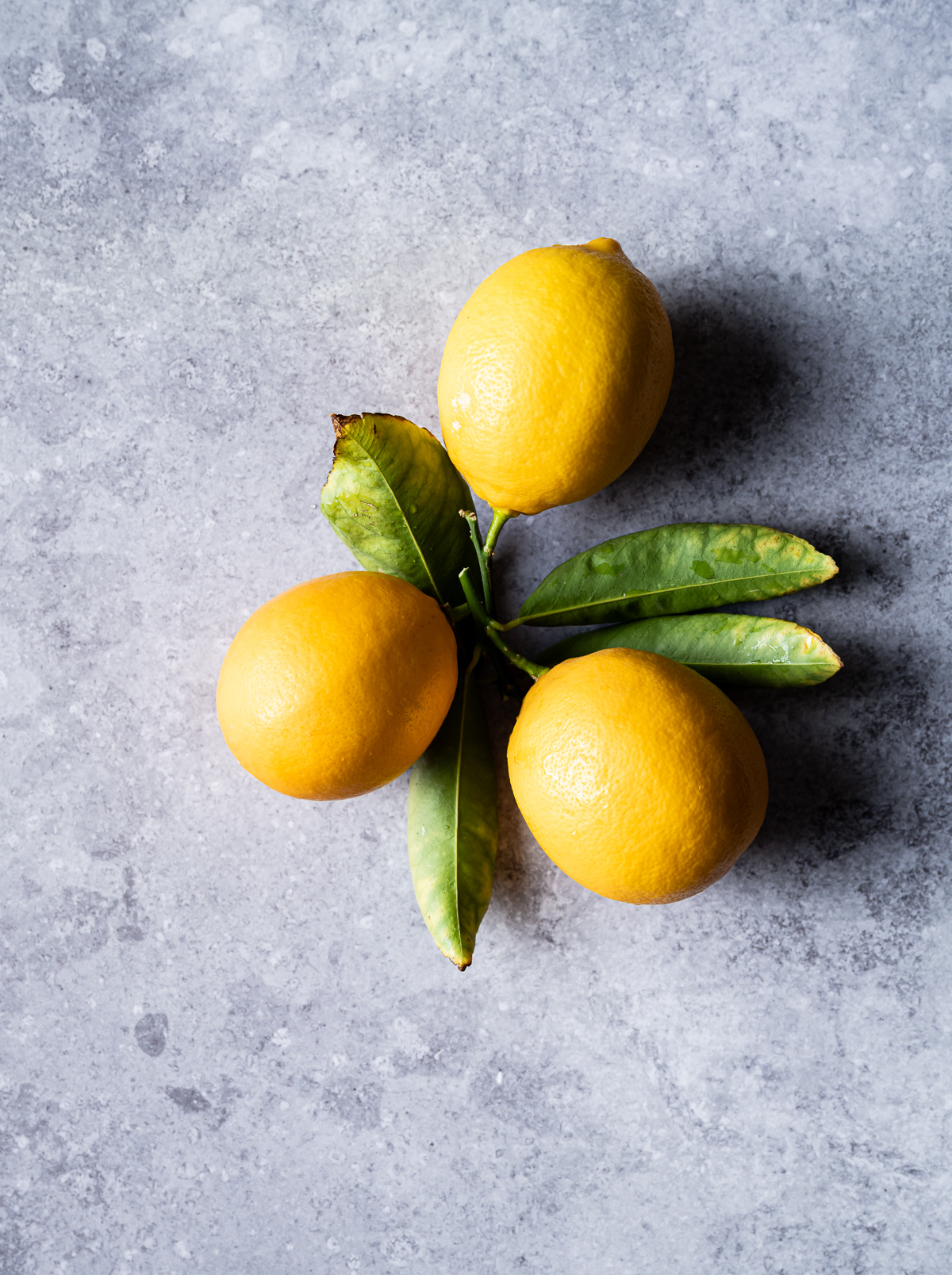 three meyer lemons with leaves