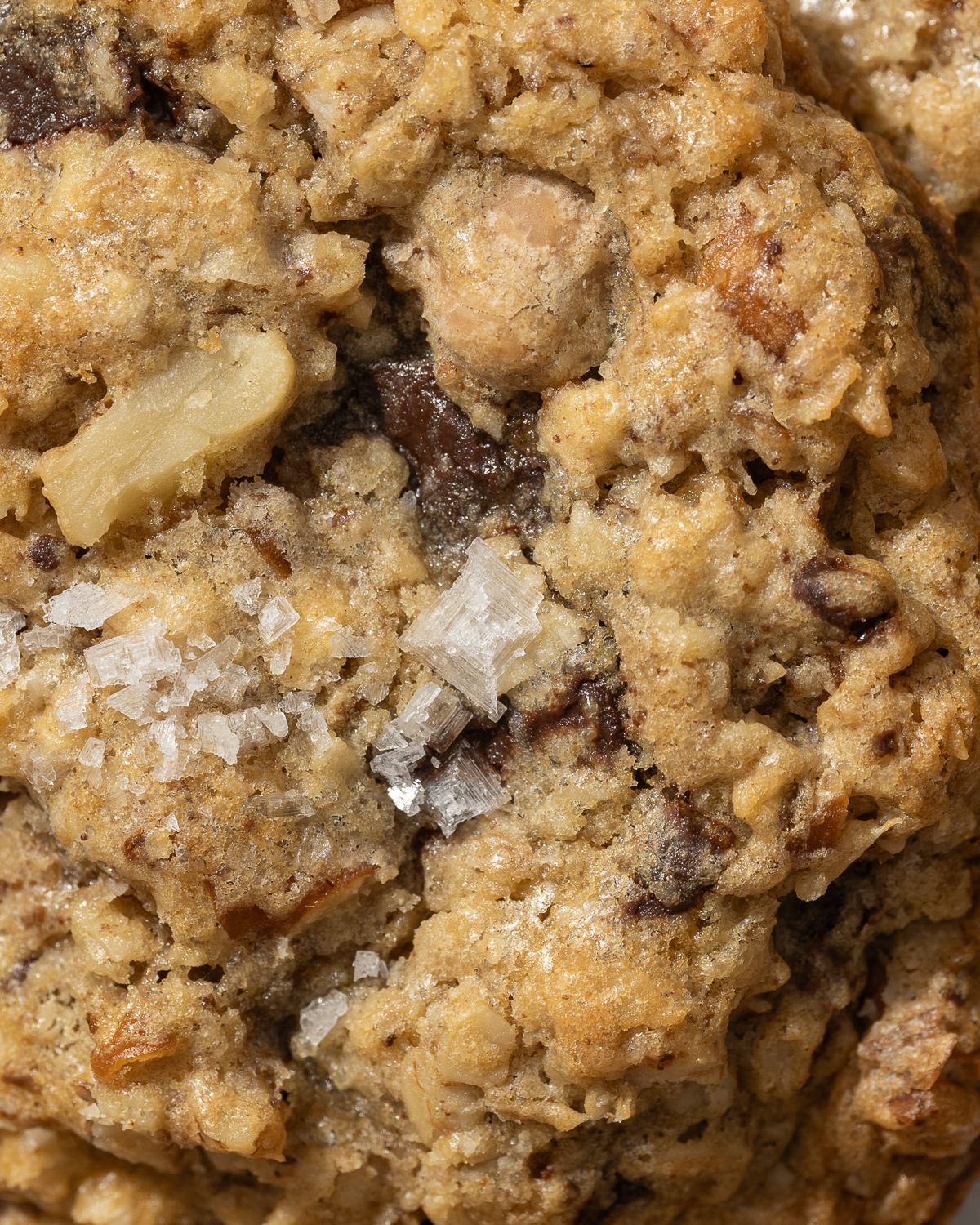 close up of flake salt on an oatmeal cookie